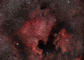 NGC7000 & IC5070 by Mario Spénard