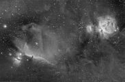 Orion Nebel (widefield) by Riccardo Crescimbeni